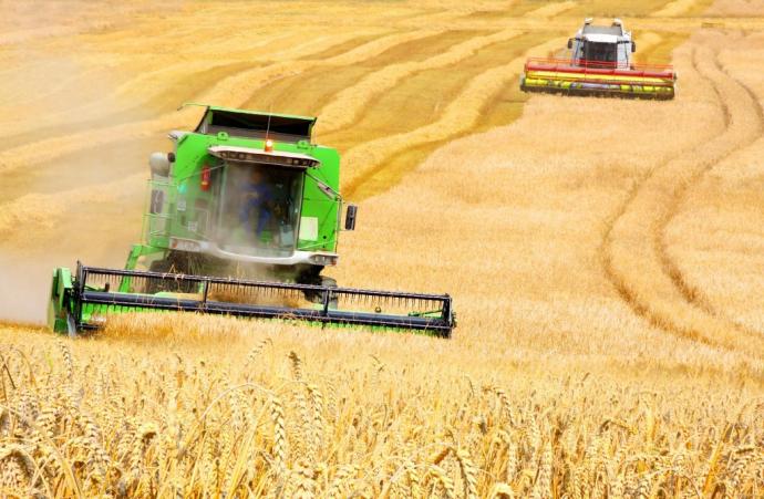 Kazakhstan to Export Up to 6.5 Million Tons of Grain in 2021